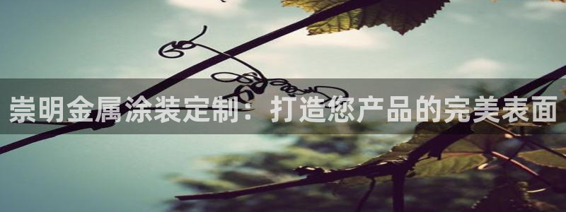 美高梅官网买票