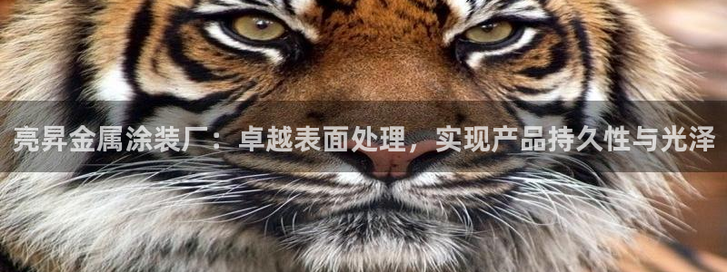 美高梅游戏官网app可以玩吗安全吗