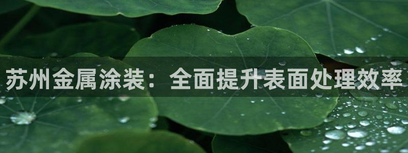 美高梅网上直营