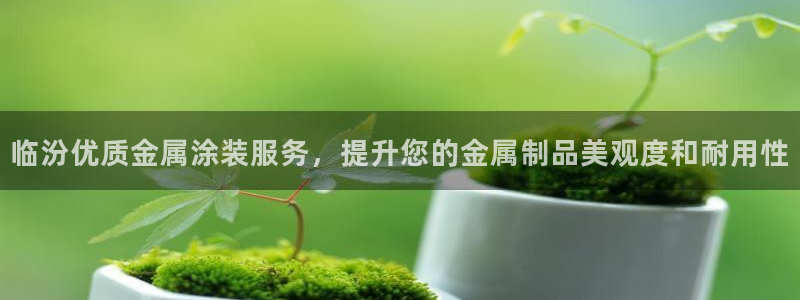 美高梅冯小峰是青岛人吗