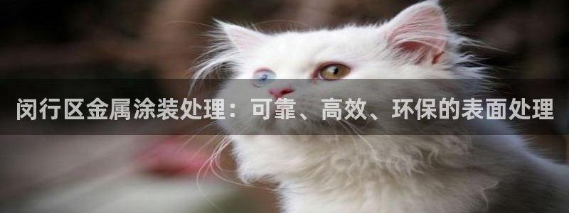 美狮美高梅酒店路线