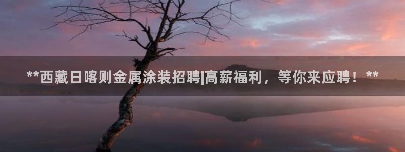 美高梅大酒店自助年卡