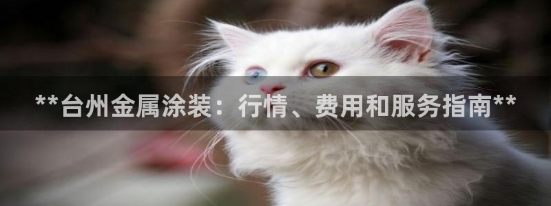 美高梅公司简介