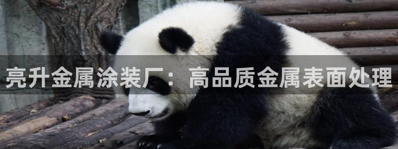 美高梅文旅
