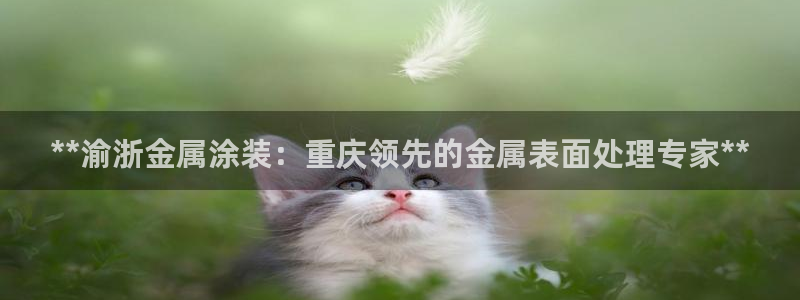美高梅大酒店有多少分店