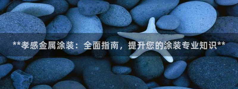 美高梅酒店在哪些城市有