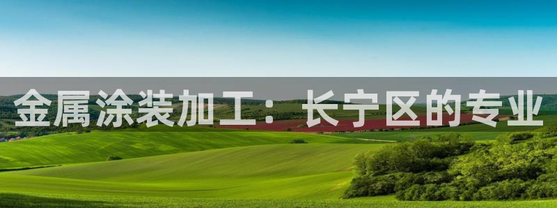 美狮美高梅酒店哪年开业