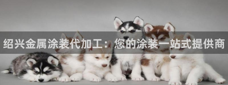 美高梅狮王卡值多少钱