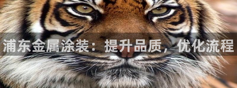 美高梅筹码最低多少钱