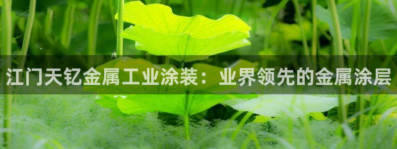 美高梅积分多少钱一分