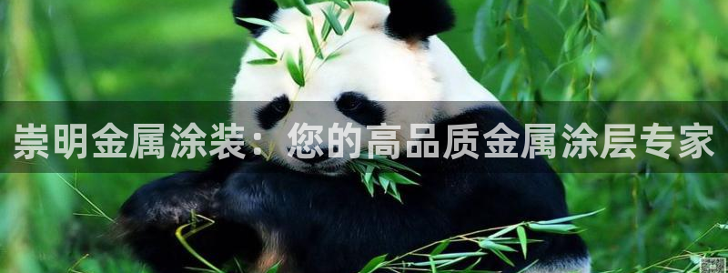 美高梅空气炸锅怎么样