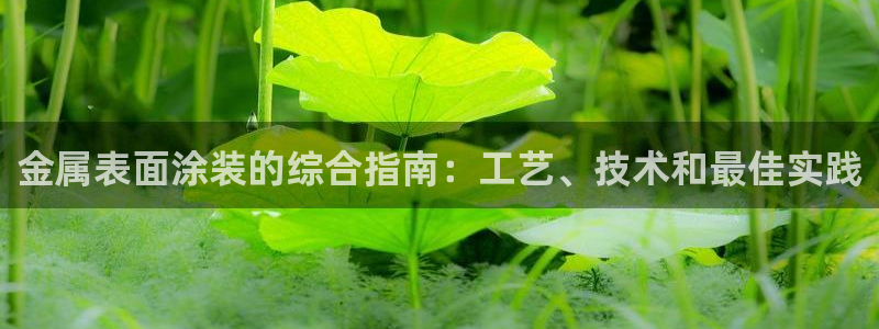 美高梅酒店介绍