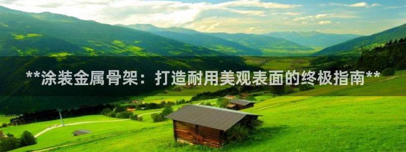 美高梅中国是什么公司
