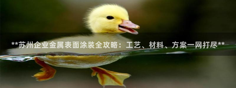 美高梅软件开发创始人