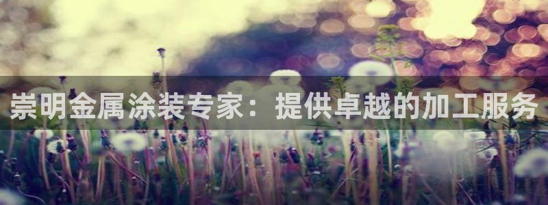 美高梅租房