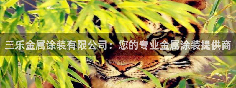 三亚美高梅度假酒店是何超琼的吗