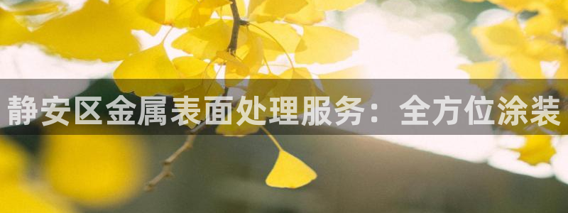 美高梅图片