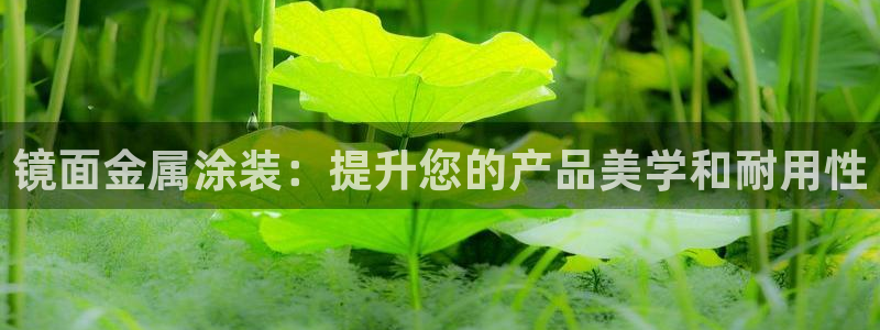 美高梅门口的狮子