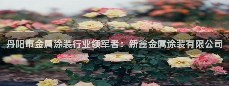 美高梅mgm集团4688打不开