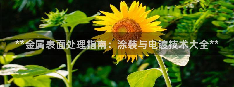 美高梅会员卡怎么用