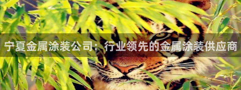 美高梅是何超琼的吗?