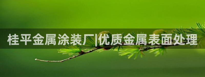 美高梅提现审核怎么办