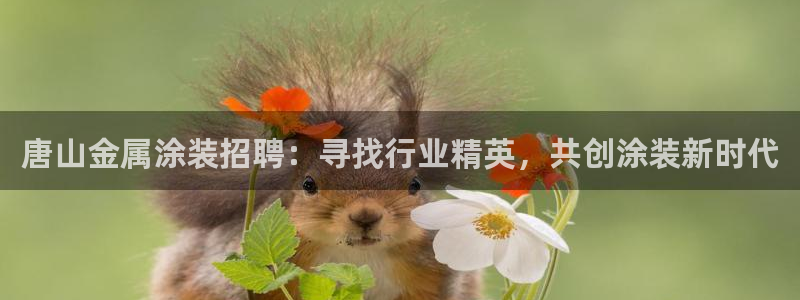 美高梅酒店年卡多少钱