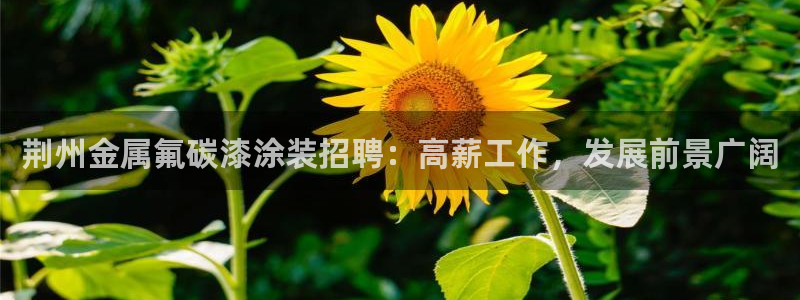 美高梅至尊88卡需要多少钱