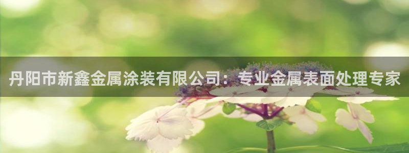 美高梅大酒店自助