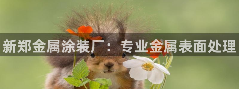 美高梅怎么打不开了