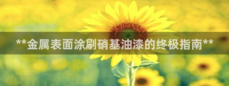 美高梅现金网