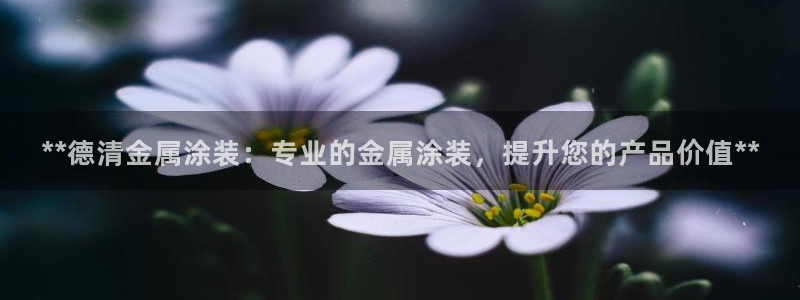 美高梅公司老板是谁