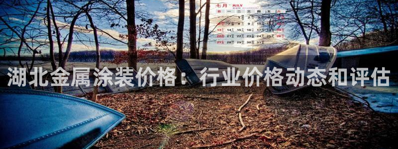 美高梅度假酒店会员卡