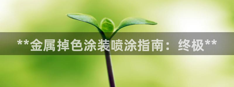 美高梅酒店房价