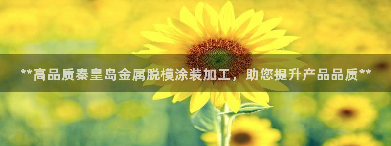 美高梅酒店ka秀价格