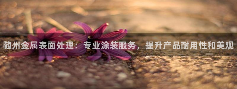 美高梅酒店发财车