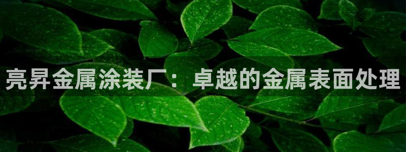 美高梅酒店特色