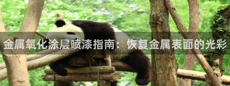美高梅谁开的