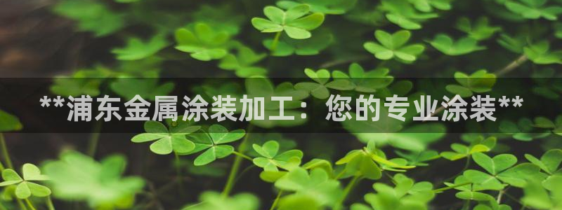 美狮美高梅酒店什么时候开业
