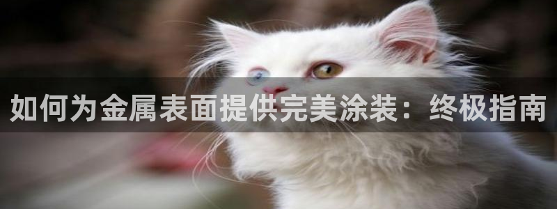 美狮美高梅酒店贵还是摩泊斯贵