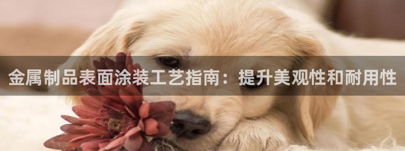 美高梅有私人沙滩吗
