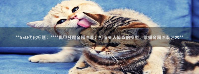 美高梅控股有限公司怎么样