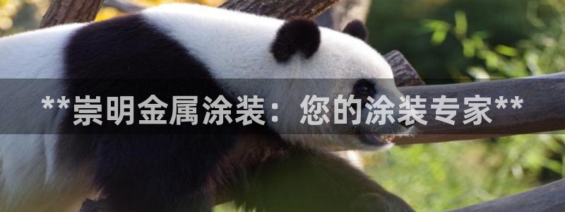 美高梅容纳多少人