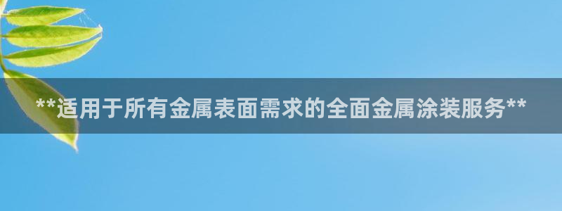 美高梅狮王会员卡