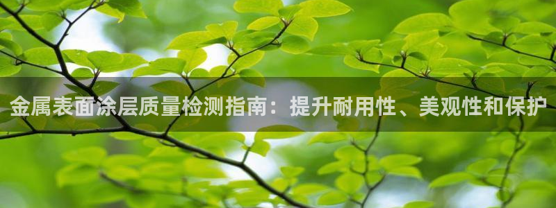 美高梅公司