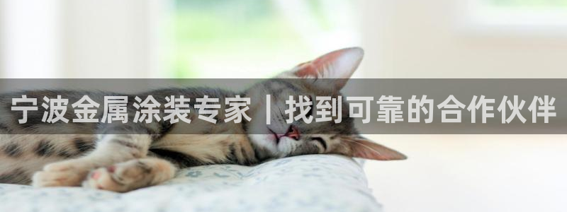 美高梅会员卡注销