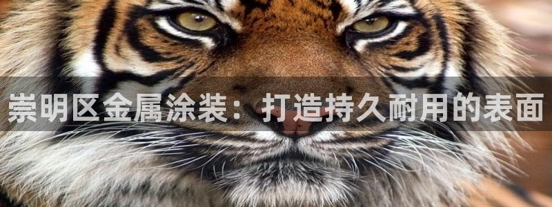 美高梅酒店管理有限公司