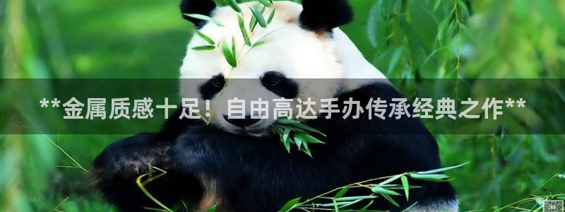 美高梅北京国际文化旅游发展有限公司官网