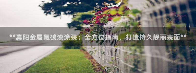 美高梅国际集团简介