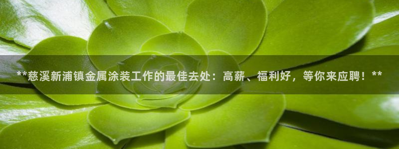 美高梅酒店股东